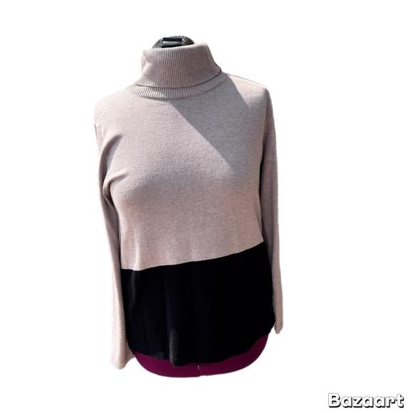 Investments Sweaters - Investments Two-Tone Turtleneck Sweater